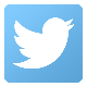 Twitter Logo